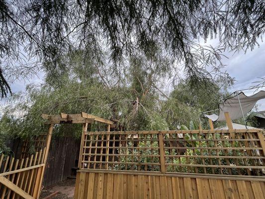 Marcelino's Tree Service