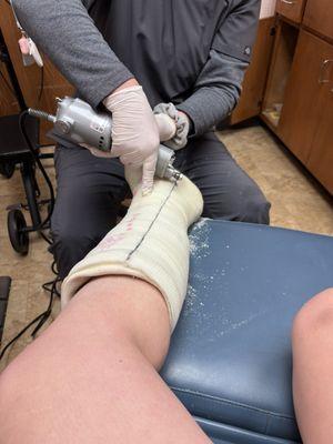 Katherine L. Kalthoff, DPM