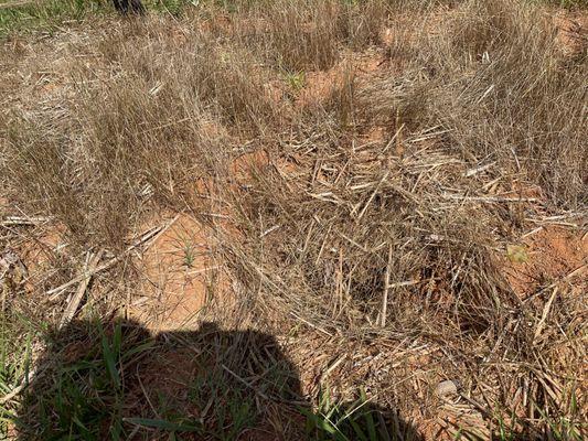 Alamance Memorial Park