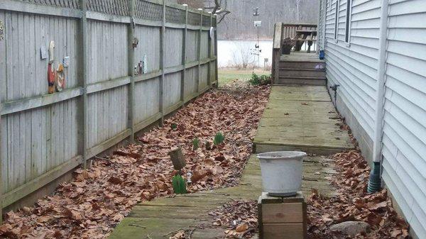 L & S Home & Property Services