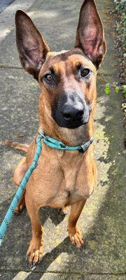 Best Friends In Balance