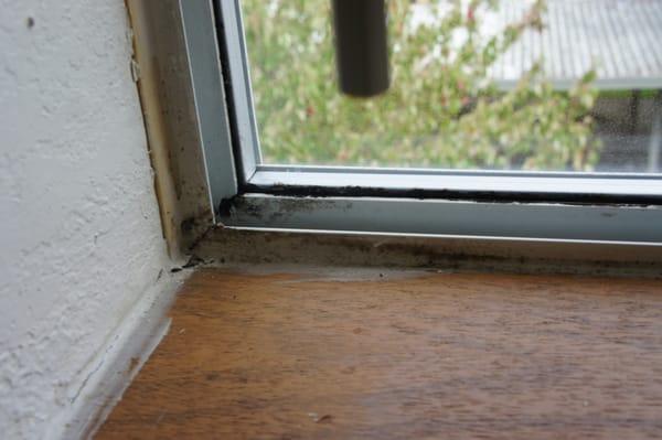 Westridge II Luxury Apartments