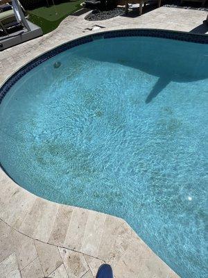 This is directly after the so called "tech" left!