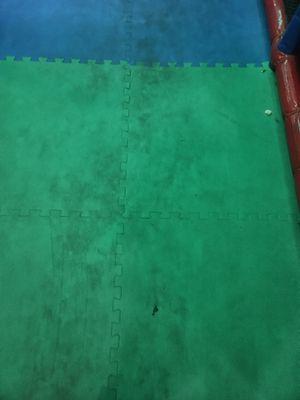 La La Land Royal Palm Beach