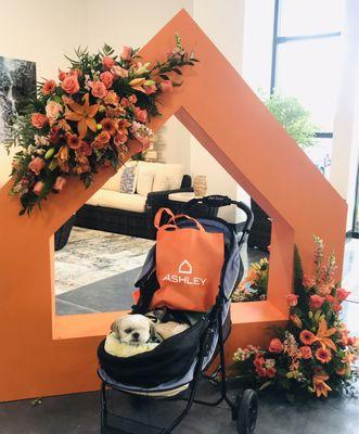 Ashley Furniture Store