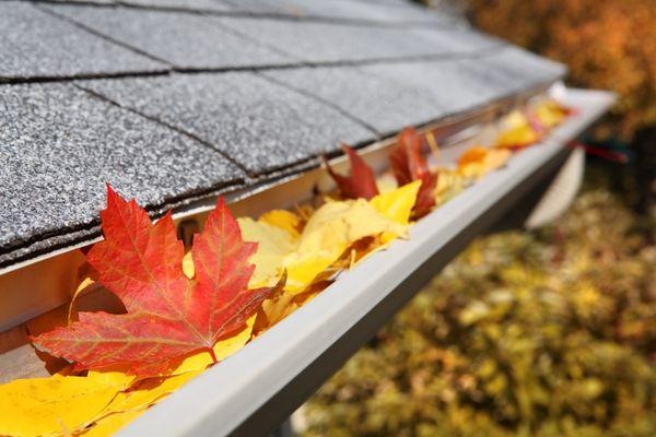 Fall leaves are beautiful. But clogged gutters can cause water damage and even flooding.