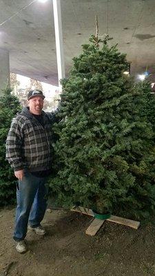 Just got a excellent tree for a excellent price! The employees are extremely helpful and even delivered it for $30! Thanks Frank