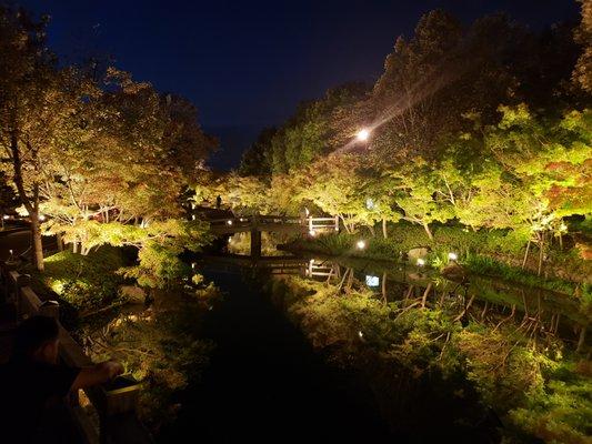 Charlie Brown's Goodtime Travel