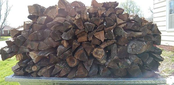 Ironwood Tree Solutions