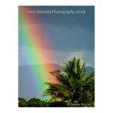 LULUMON Tutoring Center