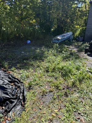 Clear Cut Junk Removal