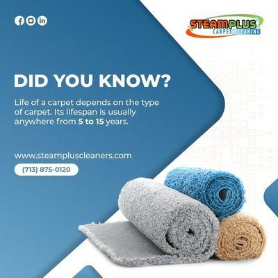 SteamPlus Carpet Cleaning