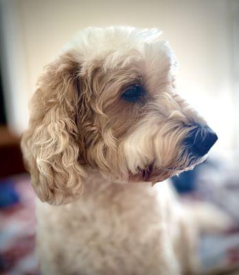 Sunshine Animal Hospital