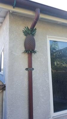 Pineapple Leaderheads, always a great choice