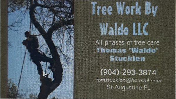 Tree Work By Waldo