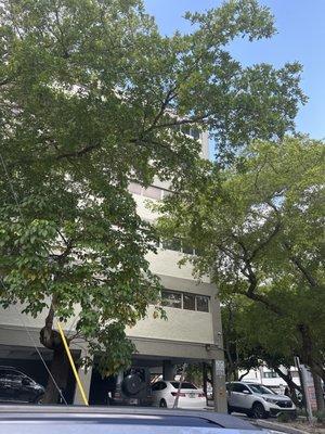 CS Post Lipo Massage