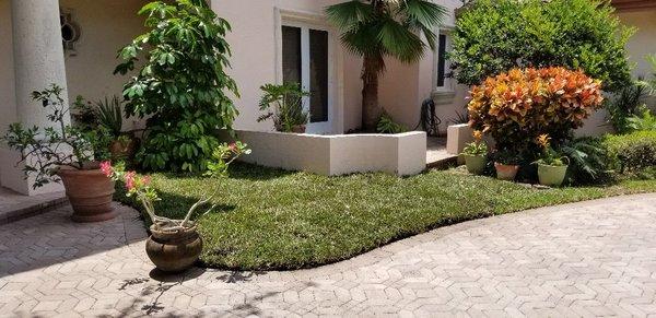 Green Seasons Lawn & Landscaping