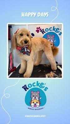 Rocke's Mobile Pet Grooming