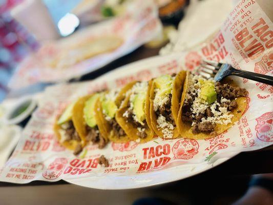 Taco Blvd