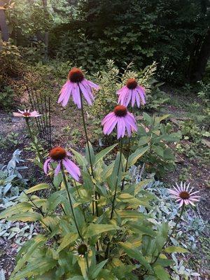 Body Retreat Therapeutic Massage