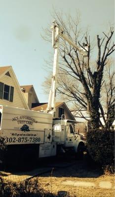 Al's Affordable Tree Care