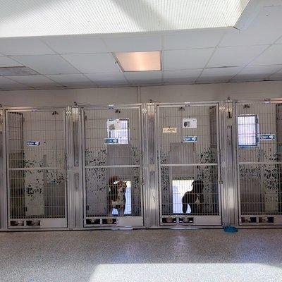 Long Beach Animal Care Services