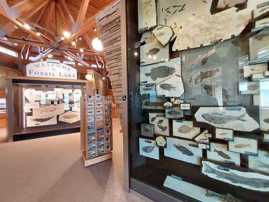 Fossil Butte National Monument