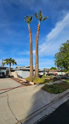 Granada Tree Service