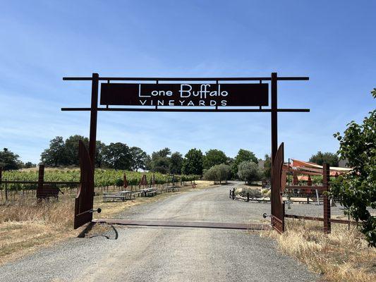 Lone Buffalo Vineyards