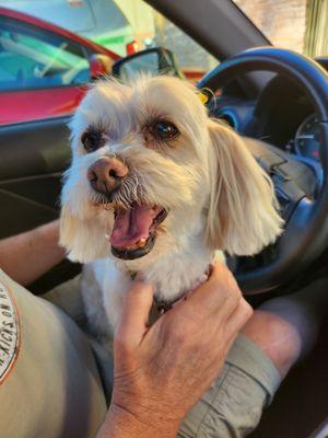 Paws & Claws Pet Grooming & Resort