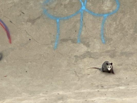 Mabel Davis District Park