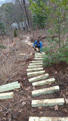Landscaping, Tree Trimming & Mulching