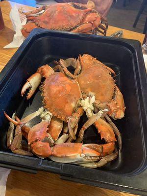 Great Wall Chinese Buffet