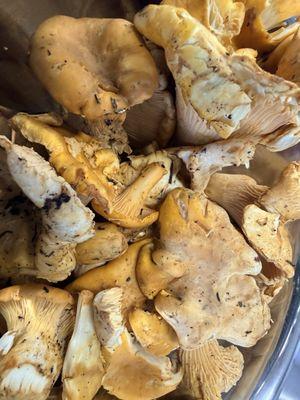 Seasonal chantralle mushroom