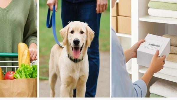 The Practical Concierge