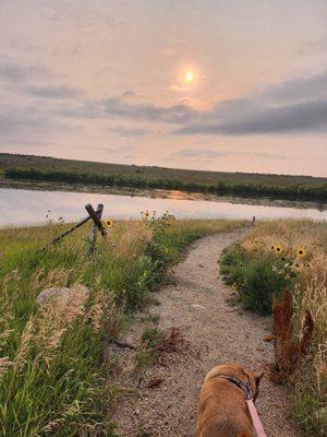 Red Fox Natural Area