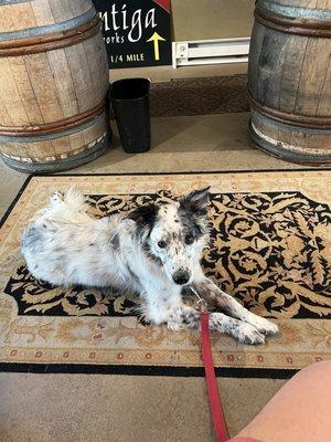 Fog friendly tasting room.