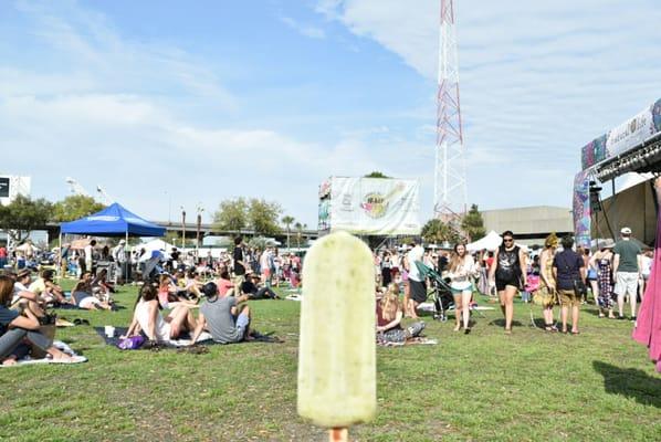 Community First Natural Life Music Festival