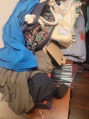 Absolute Environmental