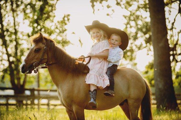 Liz Wade Photography