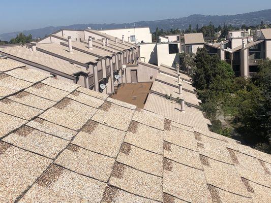 Pinnacle Roofing Professionals