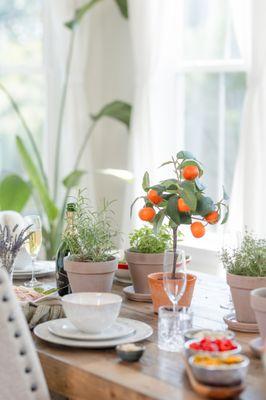 Jaclyn Riegle Interiors