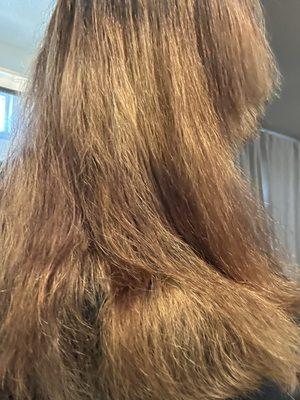 Curl Up N Dye Salon and Spa