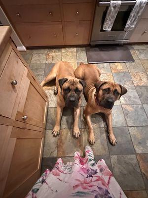 Forest Lakes Veterinary Clinic