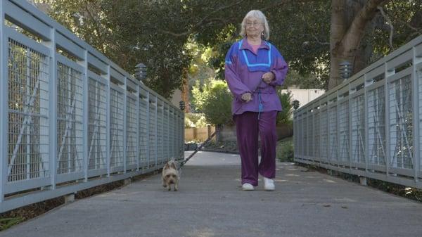 The Village At The Palms