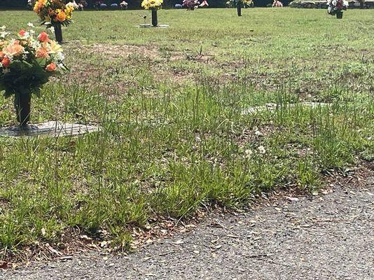 Pinelawn Memorial Park