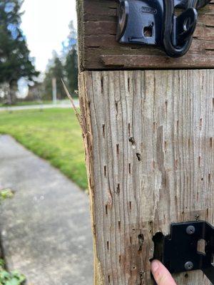 Closer view of broken gate.