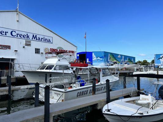 Conch Republic Divers