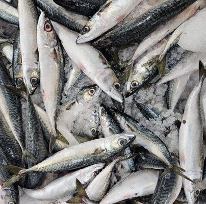 Thuan Phat El Monte Superstore