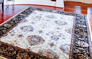 Travis' Professional Carpet & Upholstery Cleaning